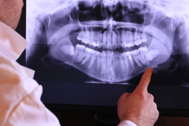 Best Emergency X-Rays and Diagnostics in Clinton, SC