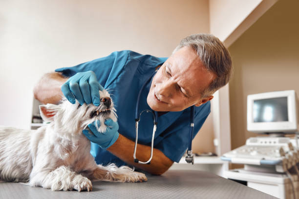Best 24-Hour Emergency Dental Care in Clinton, SC
